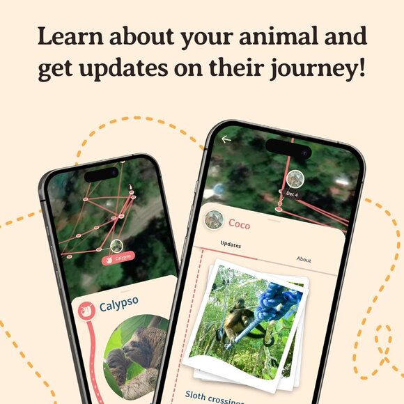 Eco-Friendly Sloth Tracking Bracelet - One Size Fits Most for Wildlife Lovers - Picture 8 of 9